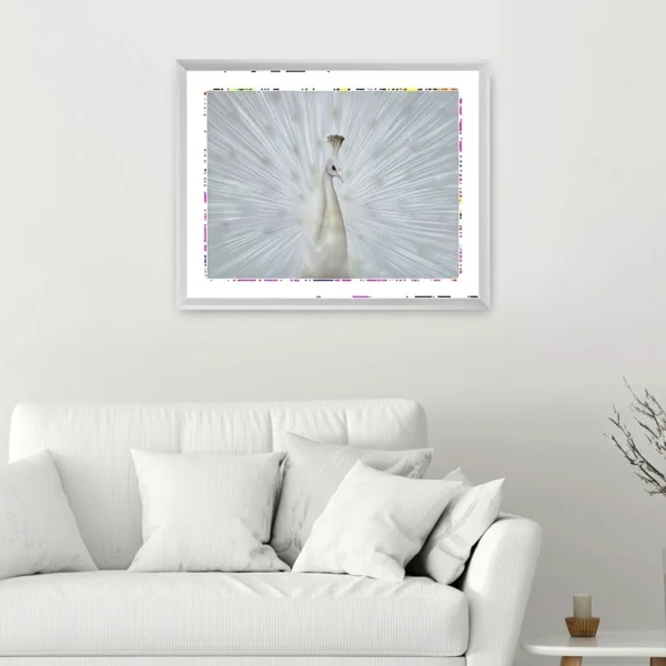 Brookpace Lascelles White Peacock Fan Artwork In Frame