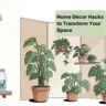 Home Décor Hacks to Transform Your Space